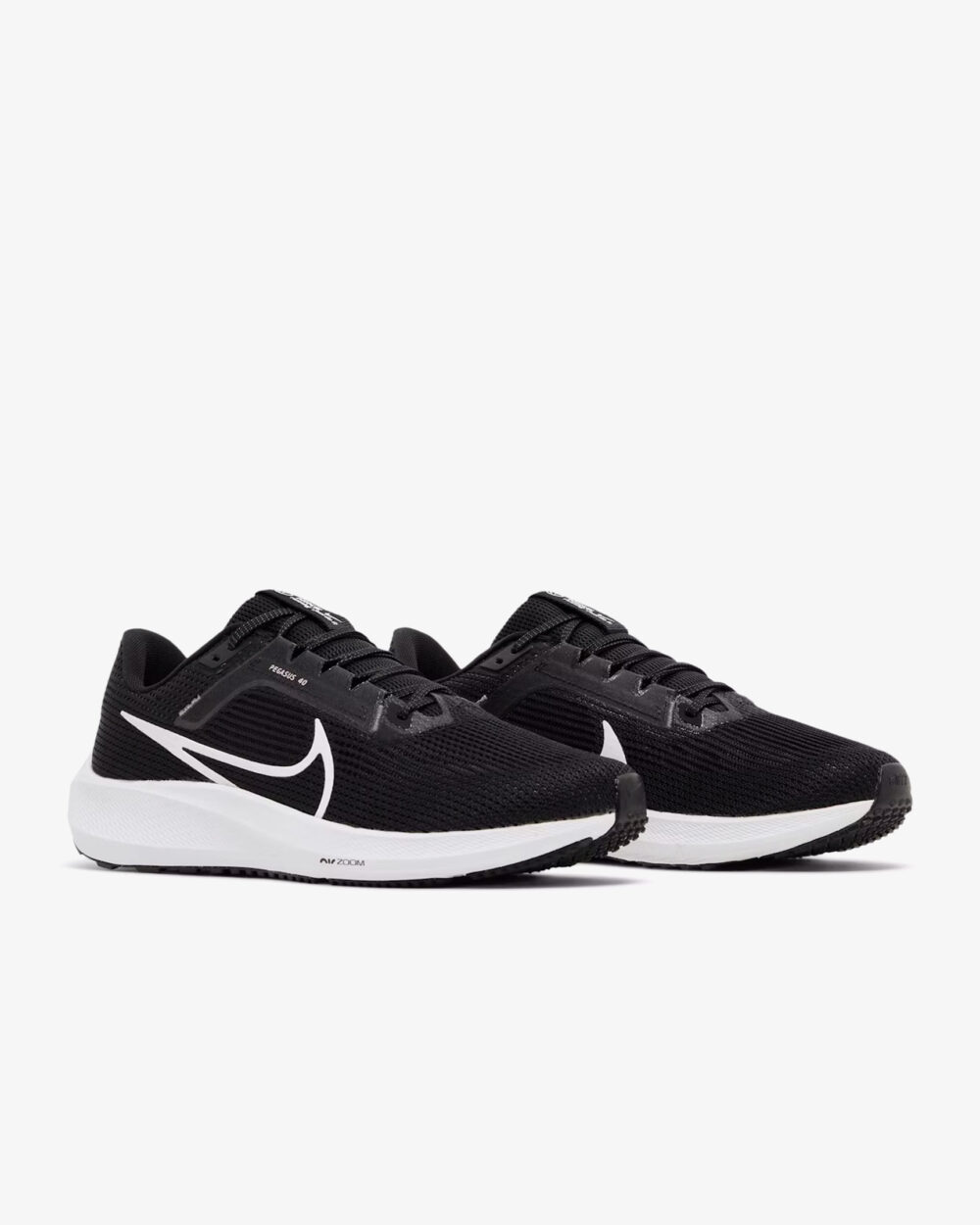 nike pegasus 40 (DV3853-001)